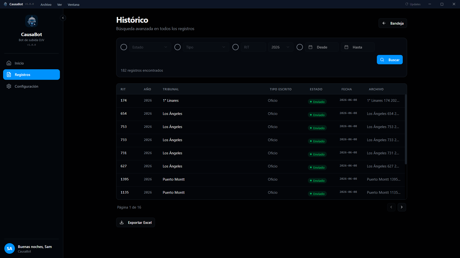 CausaBot: histórico de registros con búsqueda avanzada y exportación a Excel