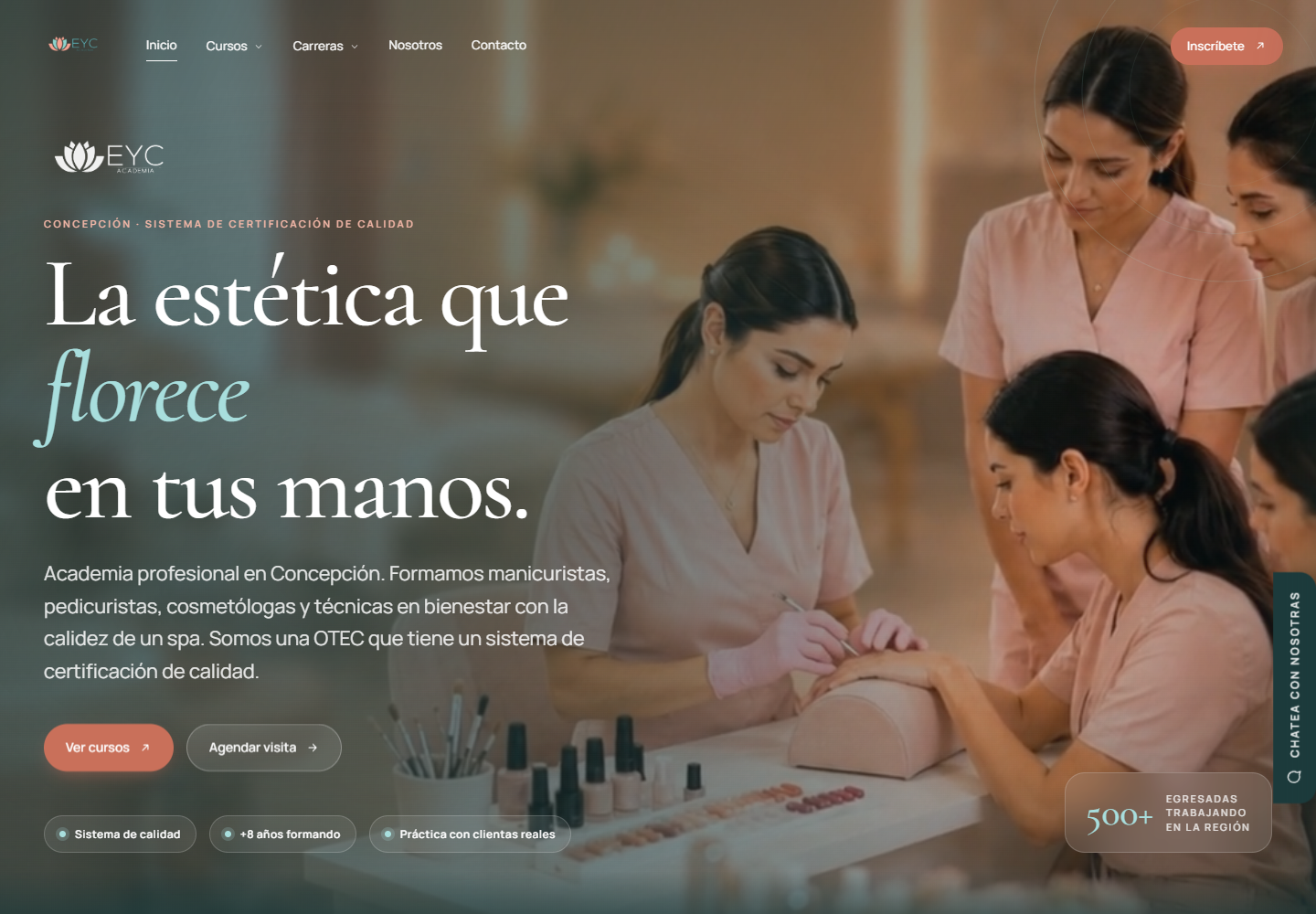 Captura de la página web de academia