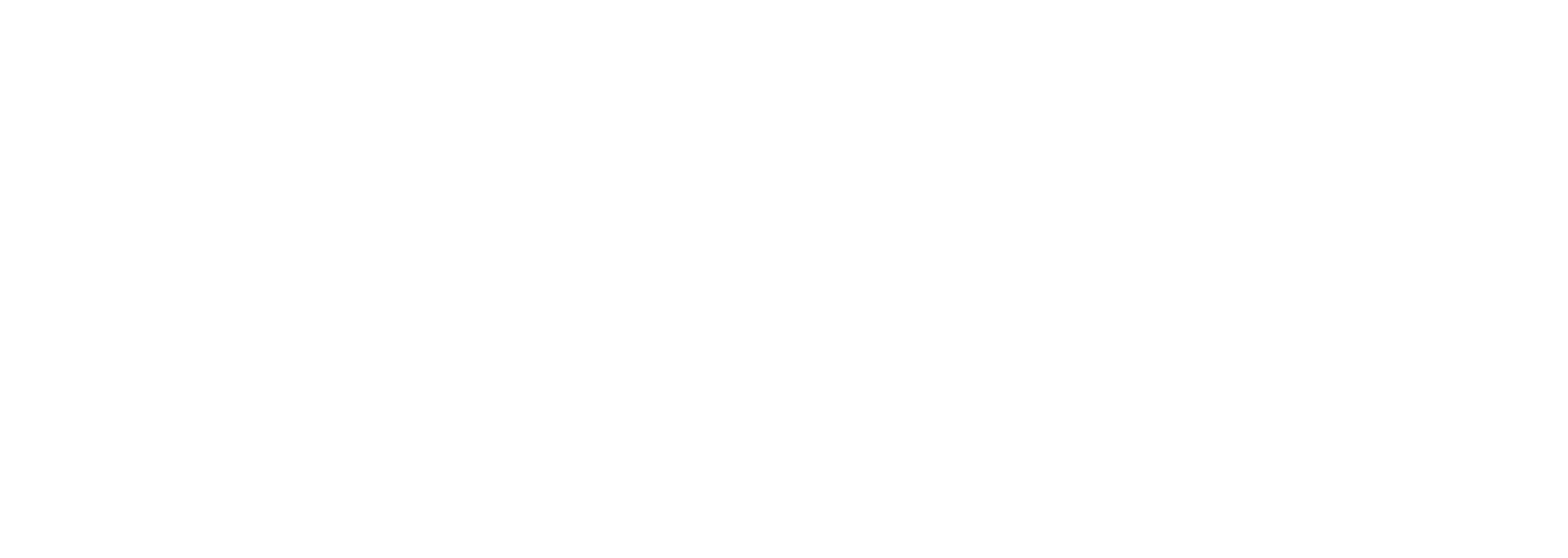 ZOKO Soluciones Digitales